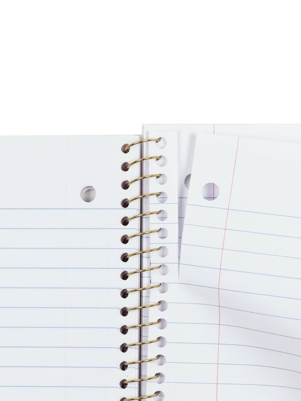Love Shack Fancy Target Spiral Notebook - Picture 3 of 3